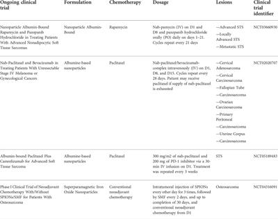 The emerging role of cancer nanotechnology in the panorama of sarcoma